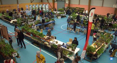 Image Vide jardin (photo 1)