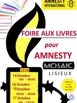 Image FOIRE AUX LIVRES romans, poches, policiers, bd, enfants... (photo 1)