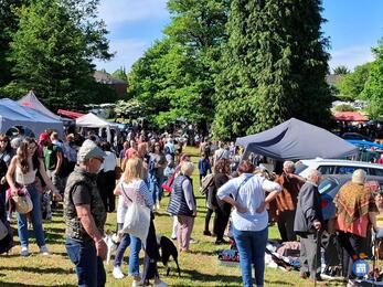 Image Marche aux fleurs et vide grenier geant (photo 1)