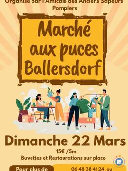 Image Marché aux Puces de Ballersdorf (photo 1)