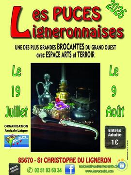 Image Les puces ligneronnaises (photo 1)