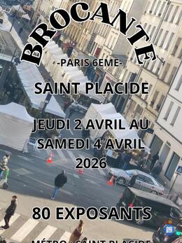 Image brocante professionnelle saint placide (photo 1)