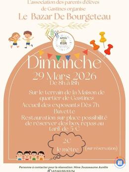 Image Le Bazar de Bourgeteau- Vide grenier (photo 1)