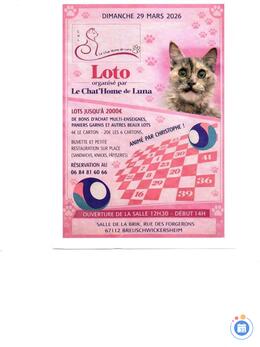Image Loto du chat'home de luna animé par Christophe (photo 1)