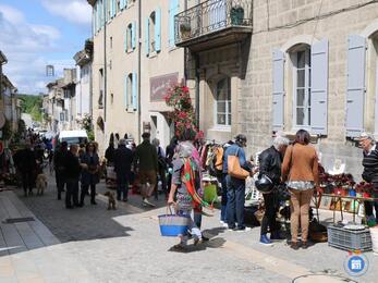 Image vide grenier de la foire agricole (photo 1)