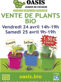 Image Vente de Plants Bio à OASIS Jardin de Cocagne (photo 1)