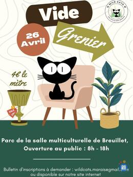 Image Vide grenier des Wild Cats (photo 1)