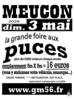 Image Grande foire aux puces (photo 1)