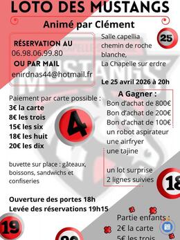 Image Loto des mustangs (photo 1)