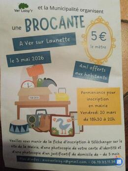 Image Vide grenier de ver sur launette (photo 1)