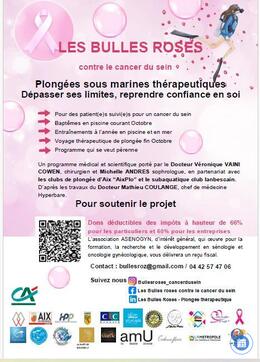 Image vide grenier des bulles roses (photo 1)