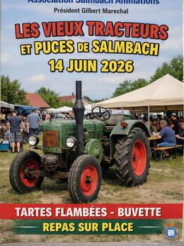 Image Les vieux tracteurs et puces de Salmbach (photo 1)