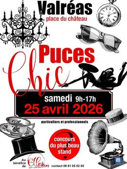 Image Puces chic (photo 1)