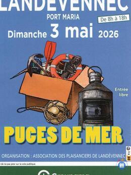 Image 1ère puces de mer à landévennec (photo 1)