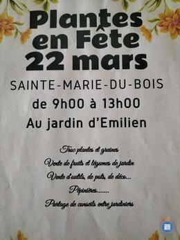 Image Plantes en Fête (photo 1)