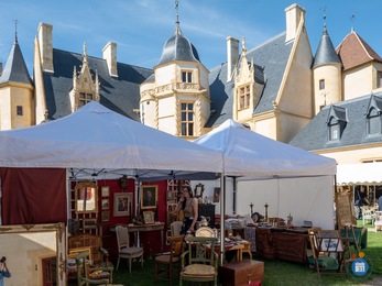 Image Salon des Curiosités du Château d'Ainay-le-Vieil (photo 1)