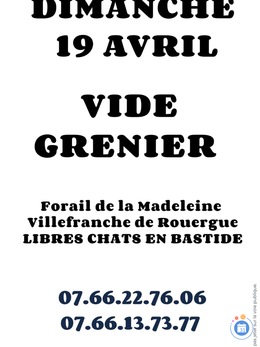 Image Vide grenier. Libres chats en bastide (photo 1)