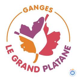 Image Vide grenier du GRAND PLATANE (photo 1)