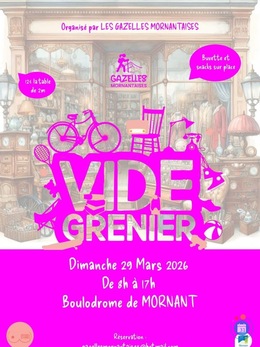 Image Vide grenier des gazelles mornantaises (photo 1)