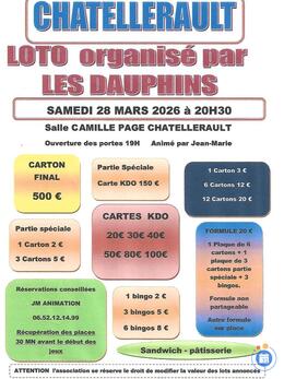 Image Les dauphins de chatellerault animé par jean marie (photo 1)