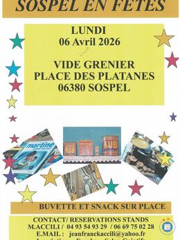 Image vide grenier de printemps (photo 1)