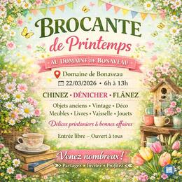 Image Brocante de Printemps (photo 1)