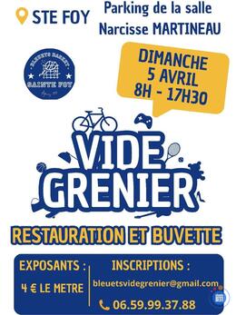 Image Vide grenier bleuets basket (photo 1)