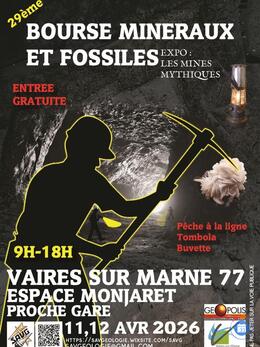 Image 29ème Bourse Minéraux et Fossiles Vaires-sur-Marne (77360) (photo 1)