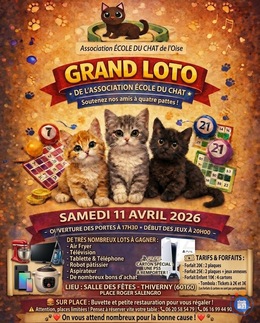 Image Grand loto école du chat (photo 1)