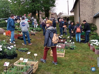 Image Vide greniers, troc et foire aux plantes. (photo 1)