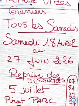 Image Vide grenier pirat parc (photo 1)