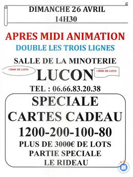 Image Après midi Animation Loto Toutes les 3 Lignes sont Doublées (photo 1)