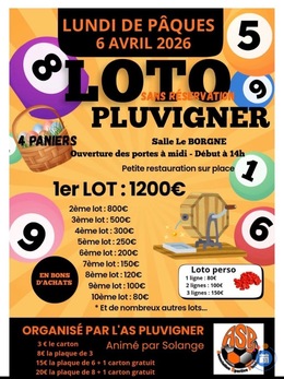 Image Loto Foot ASP Pluvigner (photo 1)