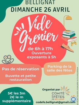Image Vide grenier de Bellignat (photo 1)