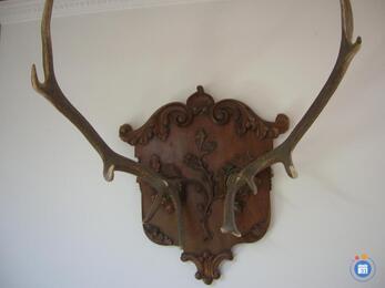 Image Vide maison avant déménagement . (photo 1)