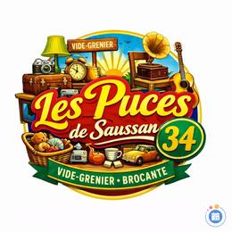 Image Vide-greniers : Puces (photo 1)