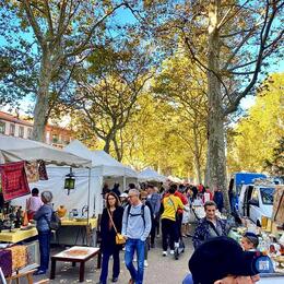 Image Grande brocante antiquités des allées Verdier 100 MARCHANDS (photo 1)