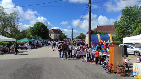 Image Vide greniers et troc aux plantes (photo 1)