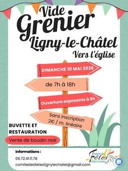 Image Vide grenier de printemps de Ligny (photo 1)