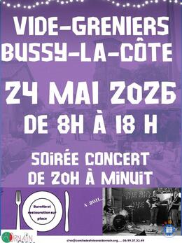 Image Vide-greniers BUSSY LA CÔTE (photo 1)