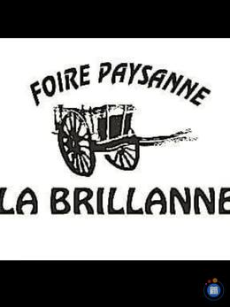 Image vide grenier de la foire paysanne (photo 1)