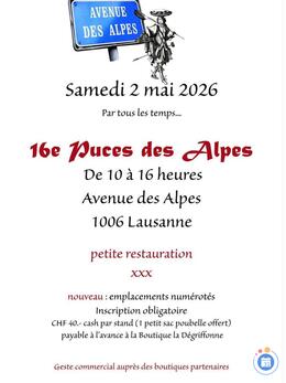 Image 16e Puces des Alpes (photo 1)