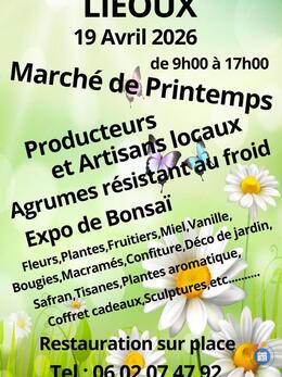 Image Marché de Printemps aux plantes (photo 1)
