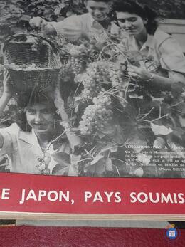 Image Vide maison (photo 1)