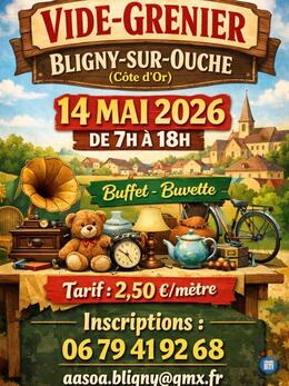 Image vide grenier de l'Ascension (photo 1)