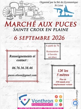 Image Marché aux puces (photo 1)
