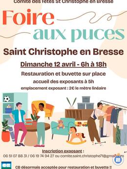 Image Foire aux puces (photo 1)