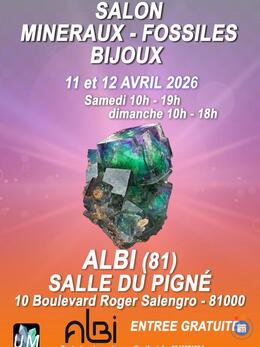 Image bourse minéraux, fossiles, bijoux de créateur. (photo 1)