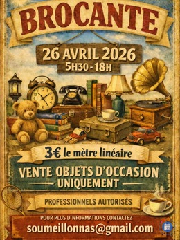 Image Brocante Sous des écoles de Meillonnas (photo 1)