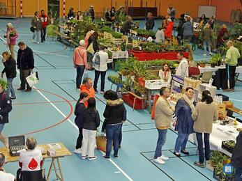 Image vide jardin (photo 1)